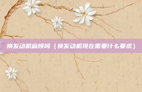 换发动机麻烦吗（换发动机现在需要什么要求）