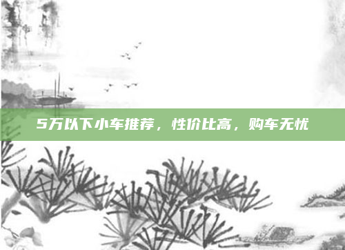 5万以下小车推荐，性价比高，购车无忧