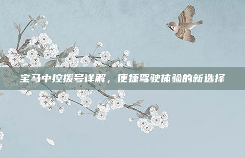 宝马中控拨号详解，便捷驾驶体验的新选择