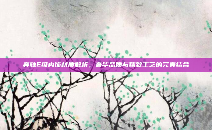 奔驰E级内饰材质解析，奢华品质与精致工艺的完美结合