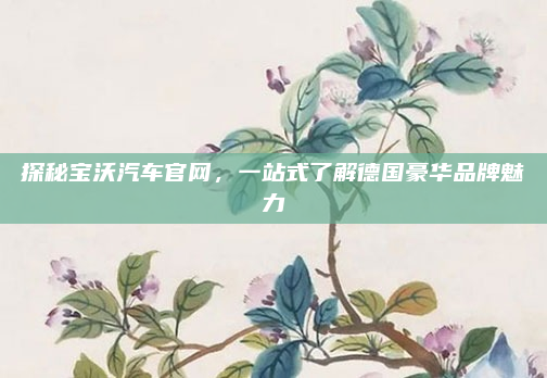 探秘宝沃汽车官网，一站式了解德国豪华品牌魅力
