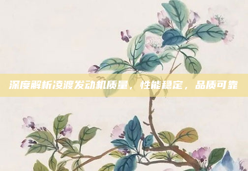 深度解析凌渡发动机质量，性能稳定，品质可靠