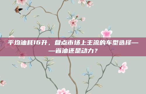 平均油耗16升，盘点市场上主流的车型选择——省油还是动力？