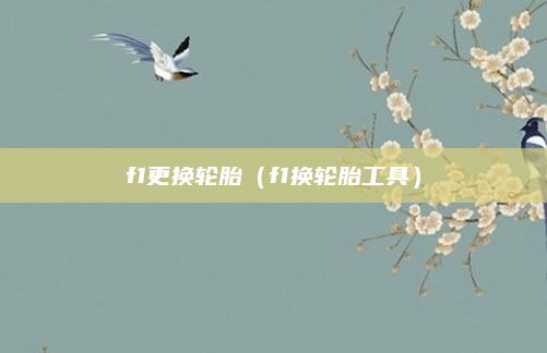 f1更换轮胎(f1换轮胎工具)