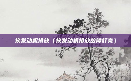 换发动机排放(换发动机排放故障灯亮)