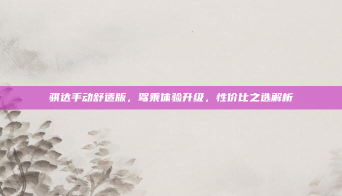骐达手动舒适版，驾乘体验升级，性价比之选解析