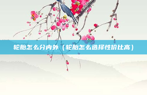 轮胎怎么分内外(轮胎怎么选择性价比高)