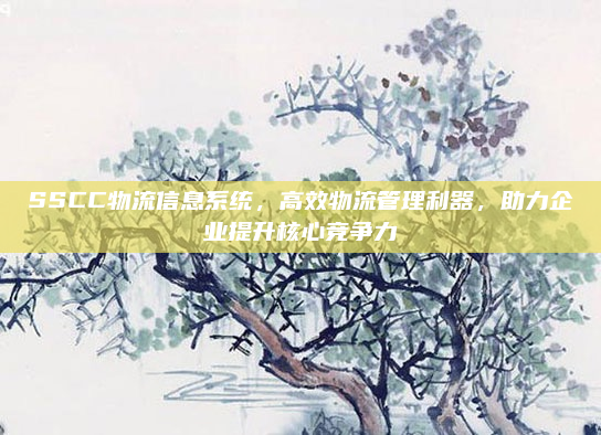 SSCC物流信息系统，高效物流管理利器，助力企业提升核心竞争力