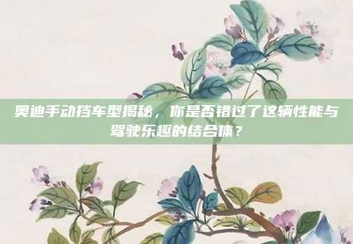 奥迪手动挡车型揭秘，你是否错过了这辆性能与驾驶乐趣的结合体？