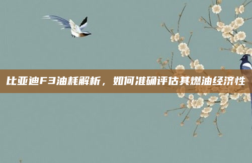 比亚迪F3油耗解析，如何准确评估其燃油经济性