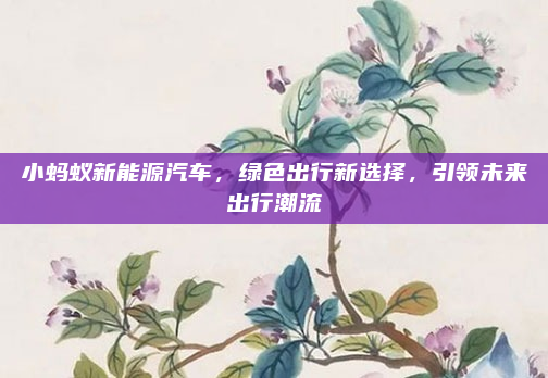 小蚂蚁新能源汽车，绿色出行新选择，引领未来出行潮流