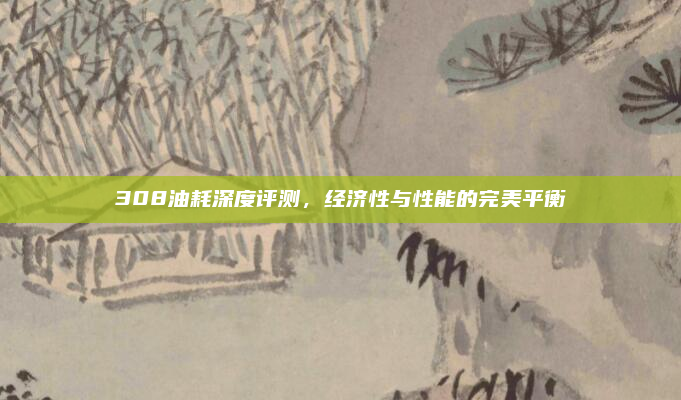 308油耗深度评测，经济性与性能的完美平衡
