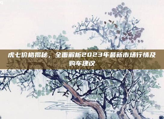 虎七价格揭秘，全面解析2023年最新市场行情及购车建议