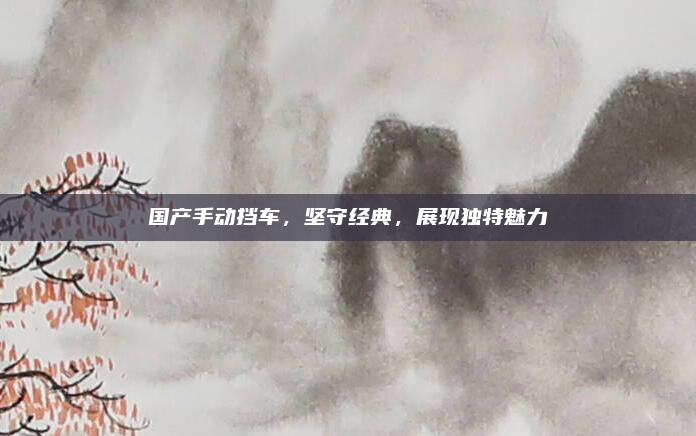 国产手动挡车，坚守经典，展现独特魅力