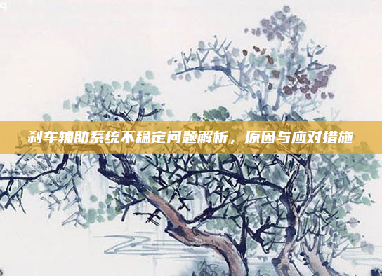 刹车辅助系统不稳定问题解析，原因与应对措施