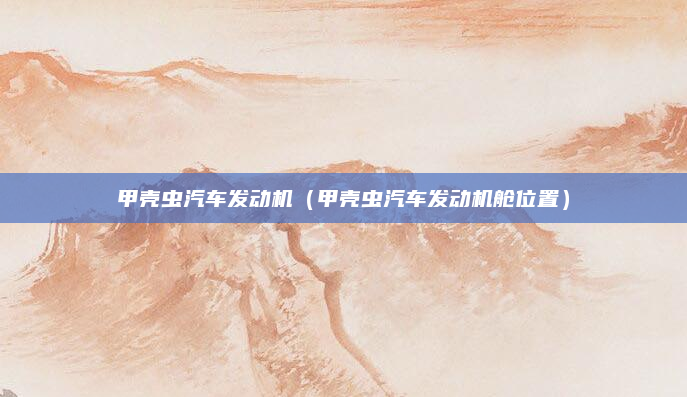甲壳虫汽车发动机(甲壳虫汽车发动机舱位置)