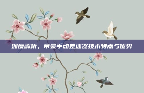深度解析，帝豪手动差速器技术特点与优势