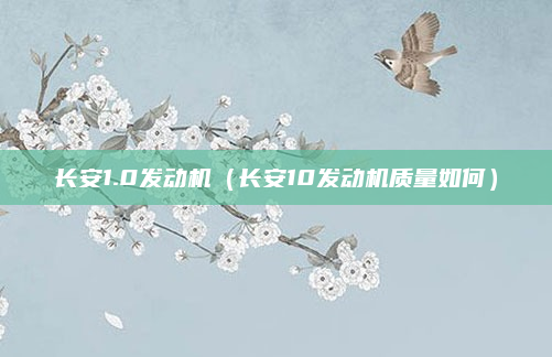 长安1.0发动机(长安10发动机质量如何)