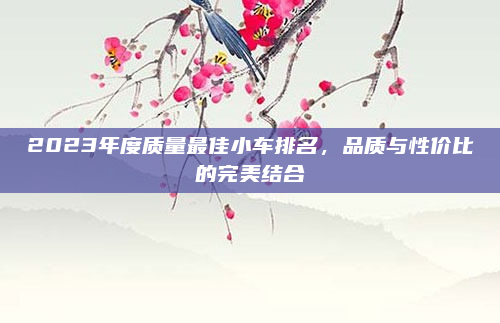 2023年度质量最佳小车排名，品质与性价比的完美结合