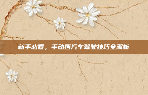 新手必看，手动挡汽车驾驶技巧全解析