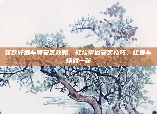 新款轩逸车牌安装攻略，轻松掌握安装技巧，让爱车焕然一新