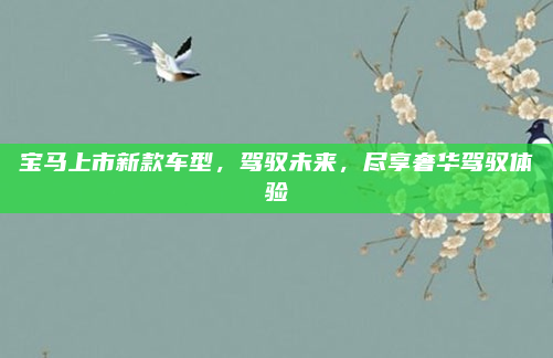 宝马上市新款车型，驾驭未来，尽享奢华驾驭体验