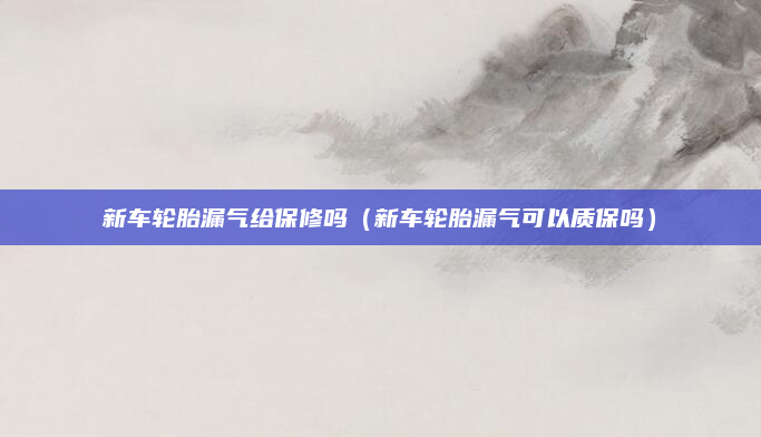 新车轮胎漏气给保修吗(新车轮胎漏气可以质保吗)