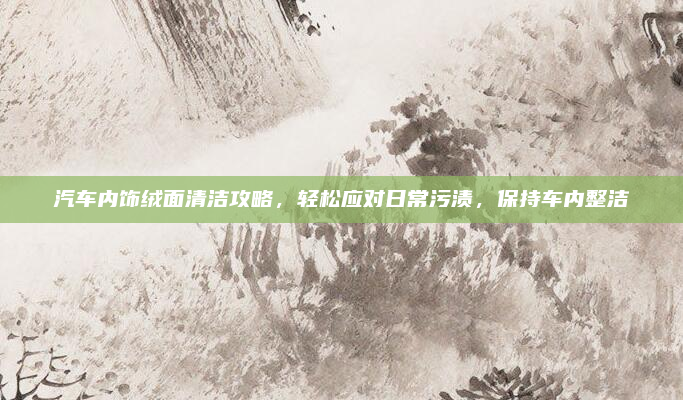 汽车内饰绒面清洁攻略,轻松应对日常污渍,保持车内整洁