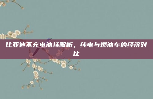 比亚迪不充电油耗解析，纯电与燃油车的经济对比