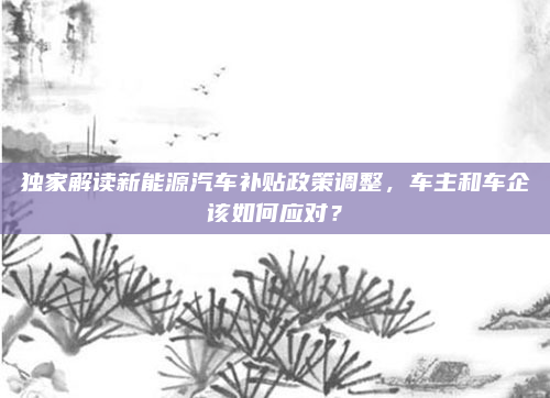 独家解读新能源汽车补贴政策调整，车主和车企该如何应对？