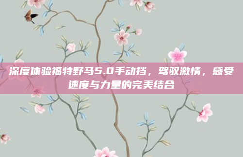 深度体验福特野马5.0手动挡,驾驭激情,感受速度与力量的完美结合