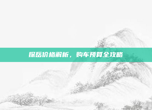探岳价格解析,购车预算全攻略