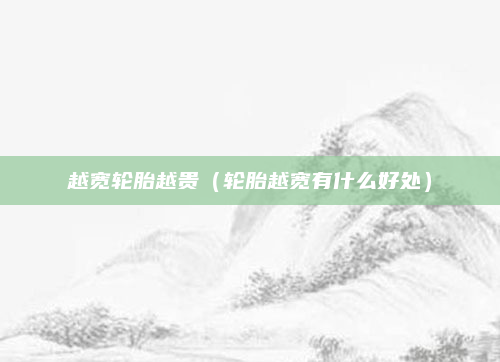 越宽轮胎越贵(轮胎越宽有什么好处)