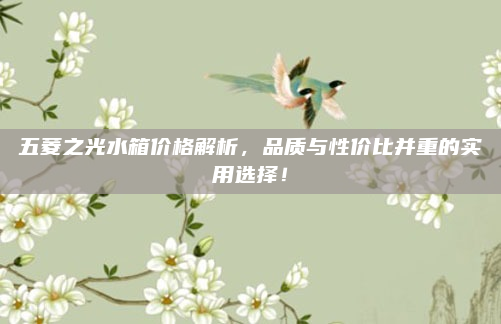 五菱之光水箱价格解析,品质与性价比并重的实用选择!