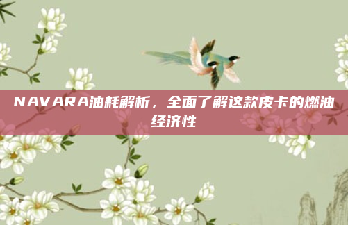 NAVARA油耗解析，全面了解这款皮卡的燃油经济性