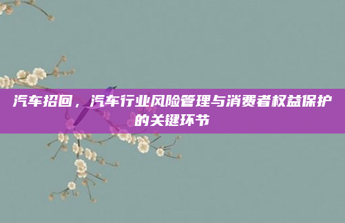 汽车招回，汽车行业风险管理与消费者权益保护的关键环节