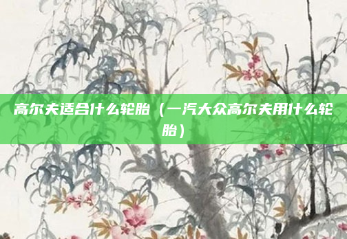 高尔夫适合什么轮胎（一汽大众高尔夫用什么轮胎）
