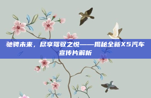 驰骋未来，尽享驾驭之悦——揭秘全新X5汽车宣传片解析