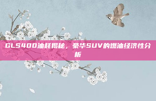 GLS400油耗揭秘，豪华SUV的燃油经济性分析