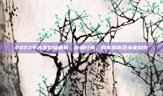 2023年大发价格解析，市场行情、购车指南及未来趋势