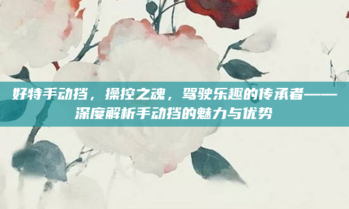 好特手动挡，操控之魂，驾驶乐趣的传承者——深度解析手动挡的魅力与优势