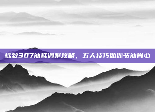 标致307油耗调整攻略，五大技巧助你节油省心