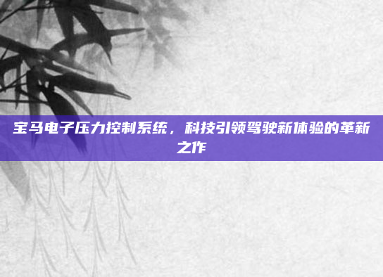 宝马电子压力控制系统，科技引领驾驶新体验的革新之作