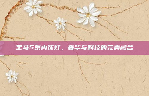 宝马5系内饰灯，奢华与科技的完美融合