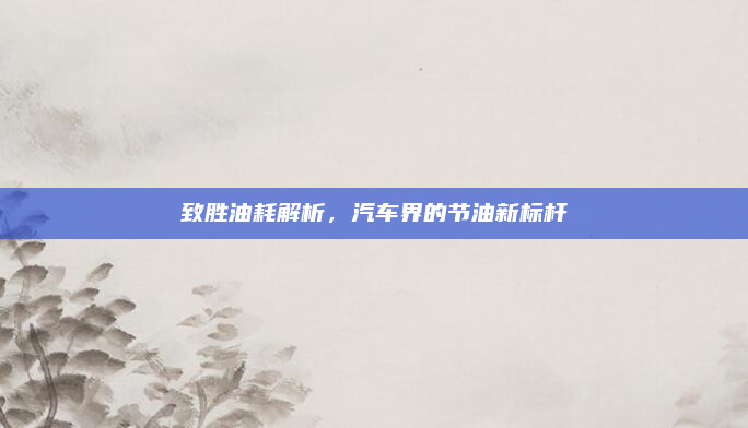 致胜油耗解析，汽车界的节油新标杆