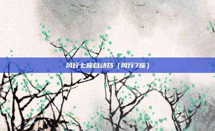 风行七座自动挡(风行7座)