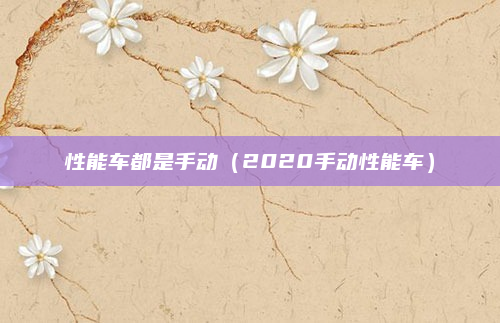 性能车都是手动（2020手动性能车）
