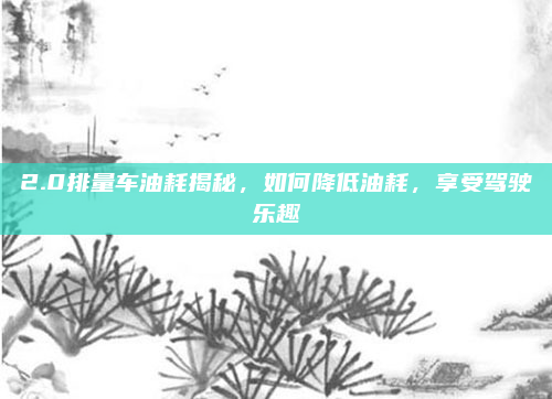 2.0排量车油耗揭秘，如何降低油耗，享受驾驶乐趣