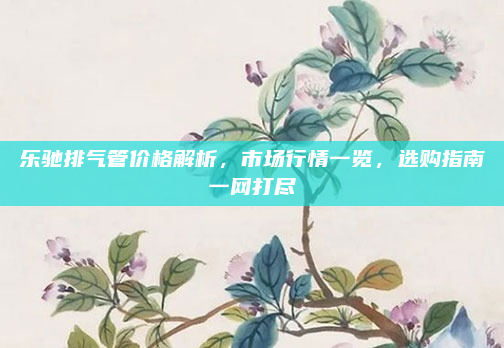 乐驰排气管价格解析，市场行情一览，选购指南一网打尽