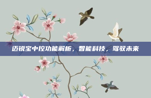 迈锐宝中控功能解析，智能科技，驾驭未来